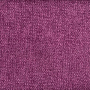 Wool Thistle