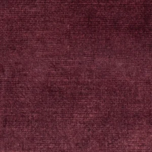 Dove Plum
